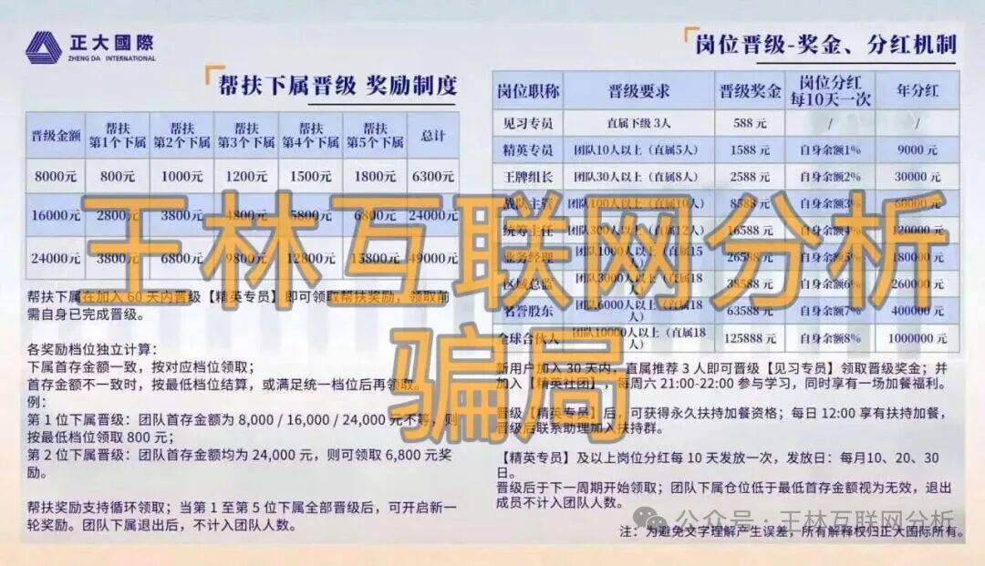 原文相关图片4